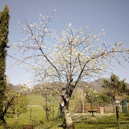B&B Le Due Volpi Vicchio Exterior foto