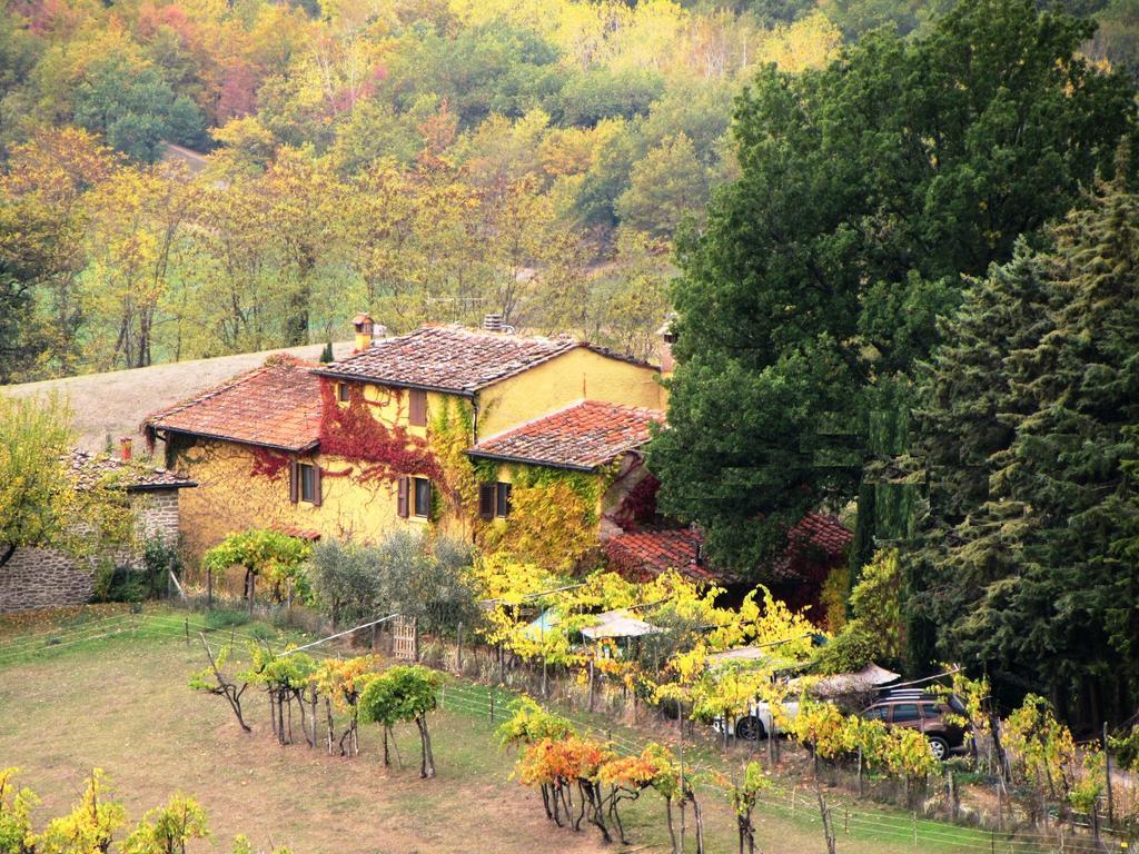 B&B Le Due Volpi Vicchio Exterior foto